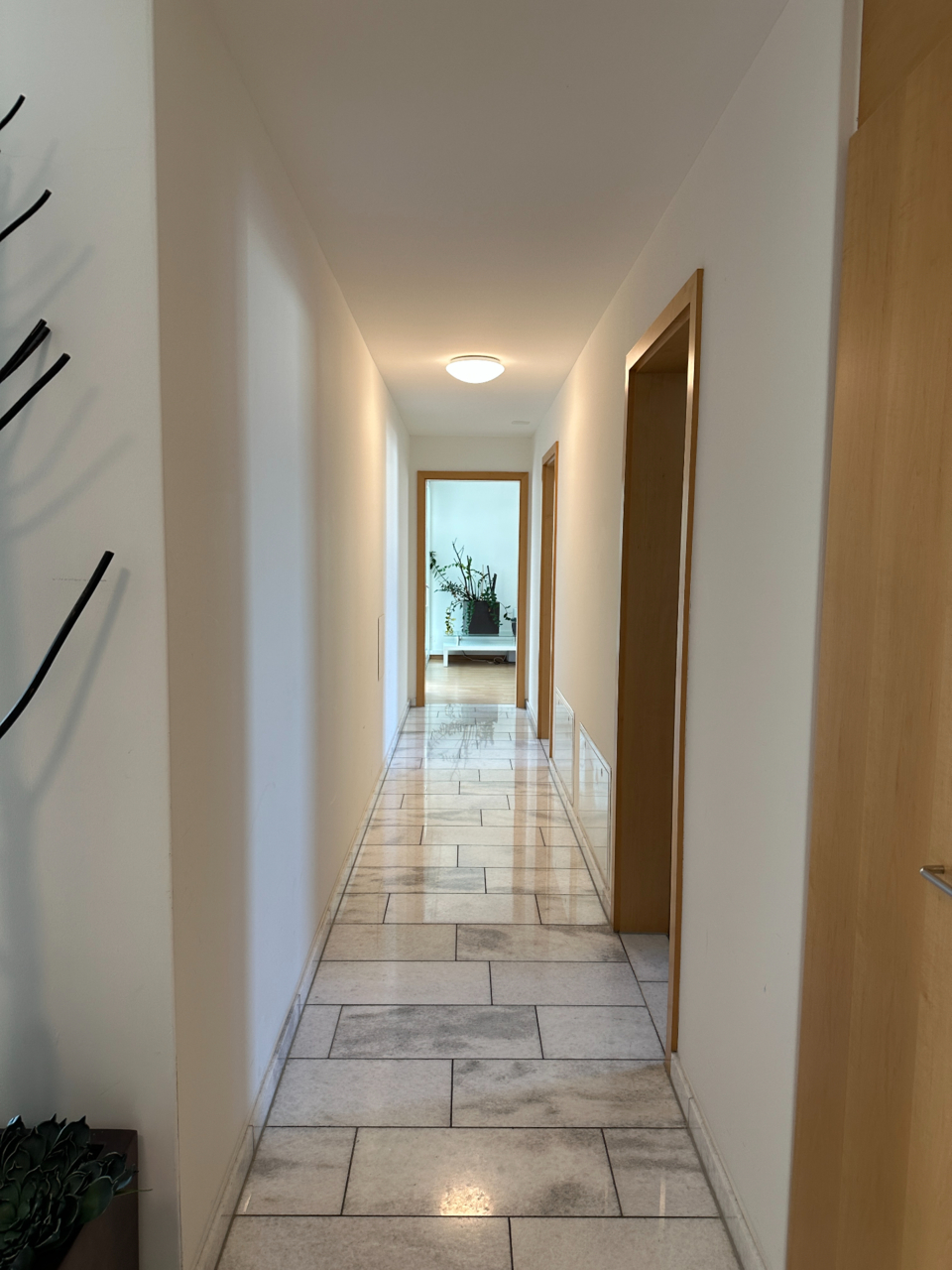 5.5 Zimmer-Wohnung mit Wintergarten, 9491 Ruggell