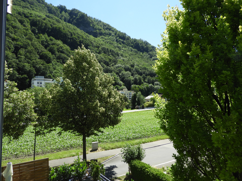 2.5 Zimmer-Wohnung, 9490 Vaduz